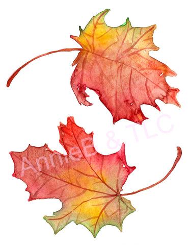 Fall Leaf Design
