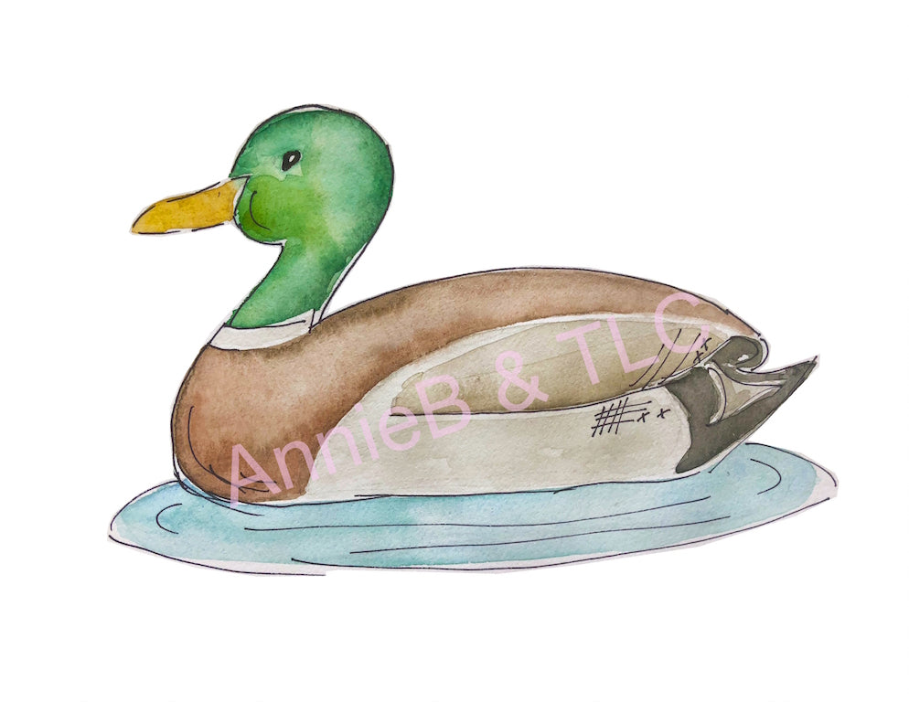 Mallard Duck Design