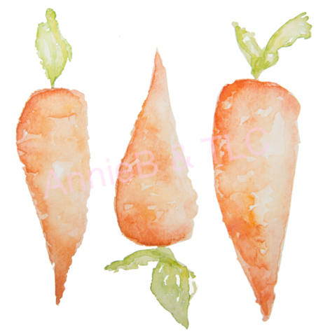 Carrots Watercolor Design